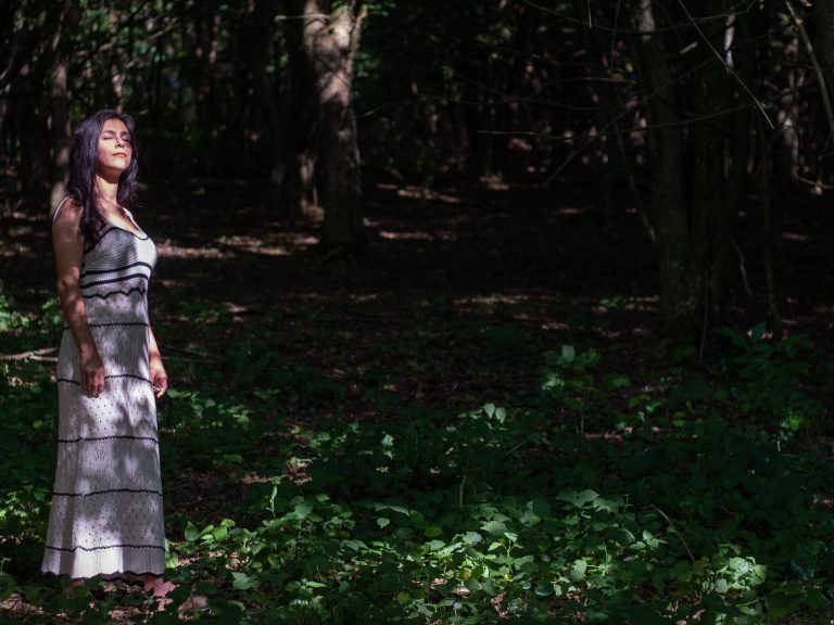 Anwendung des Dialogischen Perspektivismus – von der Kunst des Verstehens